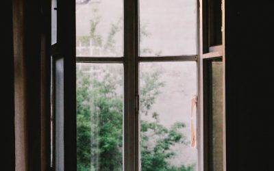 Low energy efficient Crittall Windows