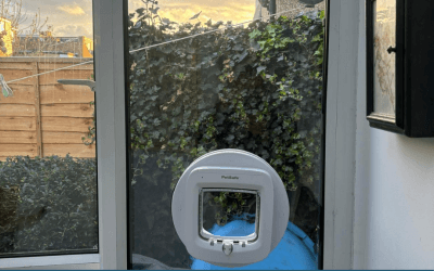 Why install a cat flap
