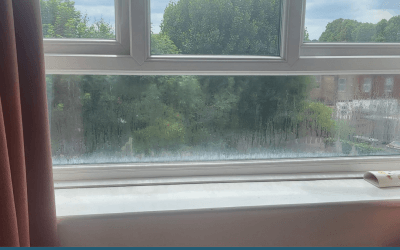 How LN Glazing Can Fix Misty Windows and Why They Need Fixing